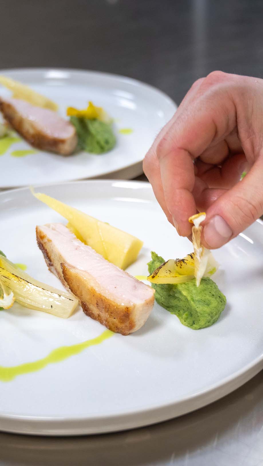 buff-medical-resort-konstanz-bodensee-Buff-GourMed-menu